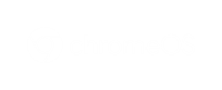 ny 2 Google ChromeOS Horizontal White RGB